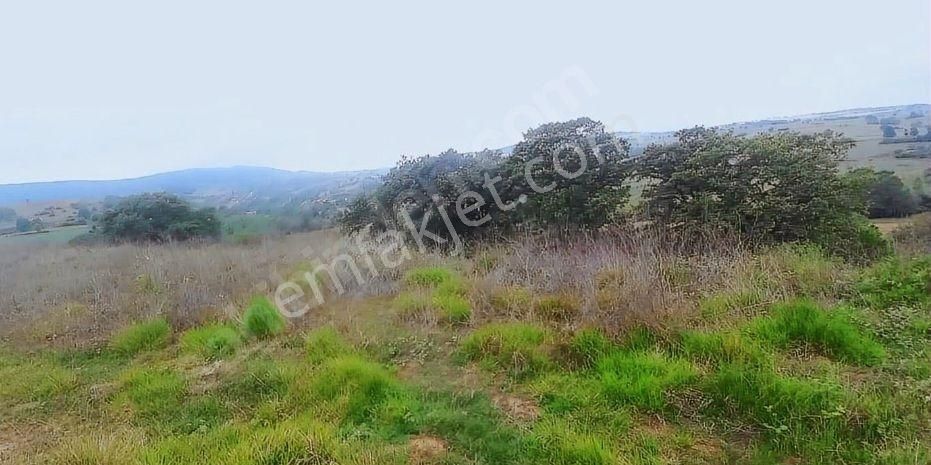 Turyap Körfez Temsilciliği'den Ahmethacılar'da Satılık Tarla - Görsel 16