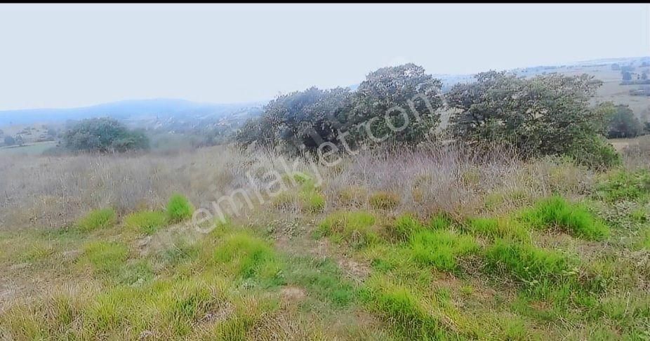 Turyap Körfez Temsilciliği'den Ahmethacılar'da Satılık Tarla - Görsel 4