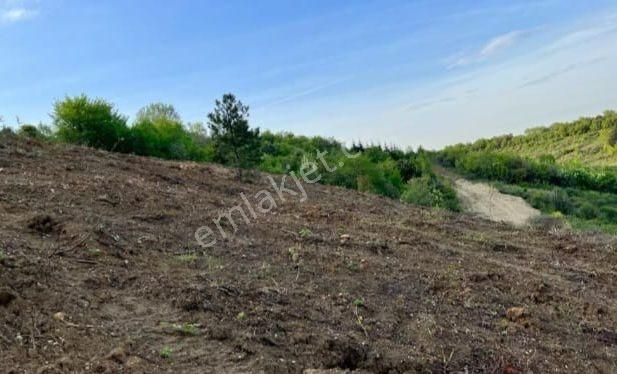 Turyap Körfez'den Çınarçık'ta Deniz Manzaralı Villa Arazisi - Görsel 8