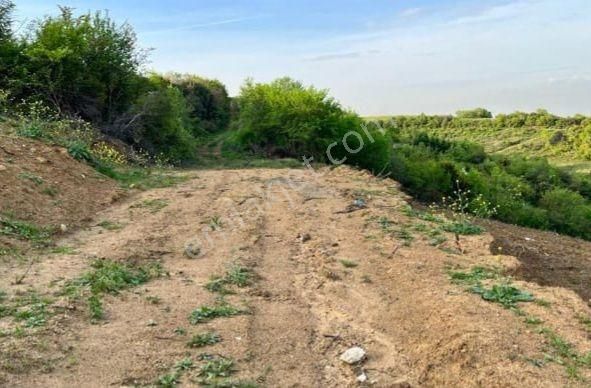 Turyap Körfez'den Çınarçık'ta Deniz Manzaralı Villa Arazisi - Görsel 5