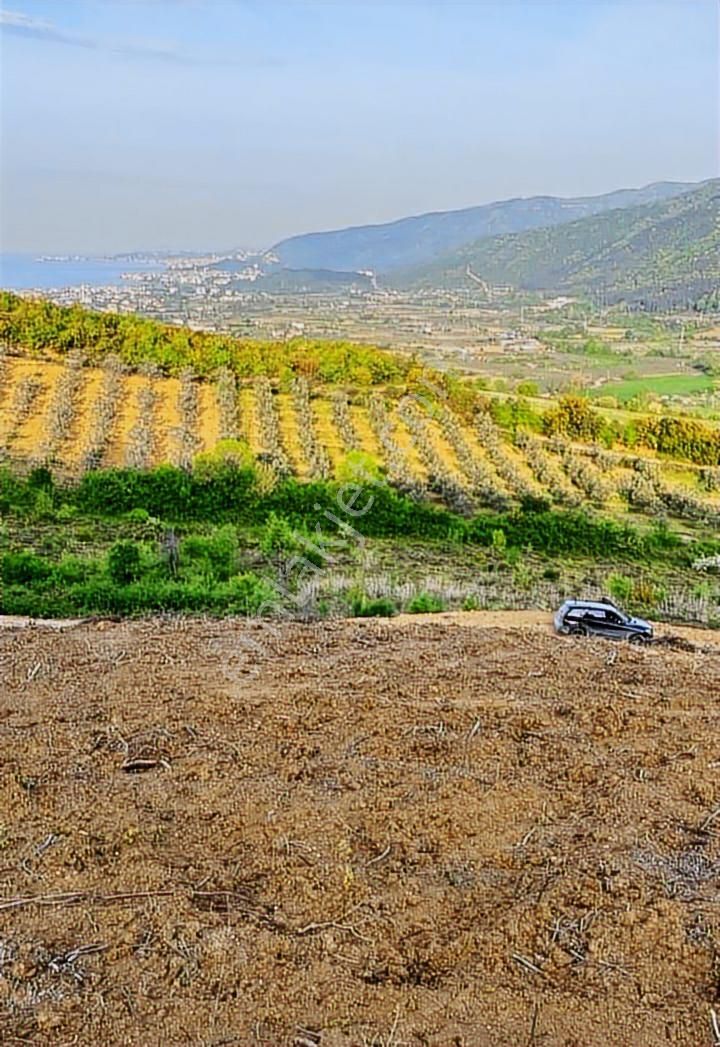 Turyap Körfez'den Çınarçık'ta Deniz Manzaralı Villa Arazisi - Görsel 4