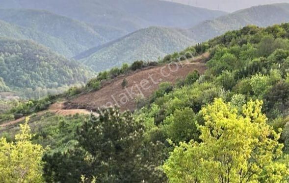 Turyap Körfez'den Çınarçık'ta Deniz Manzaralı Villa Arazisi - Görsel 14