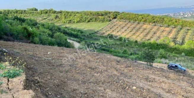 Turyap Körfez'den Çınarçık'ta Deniz Manzaralı Villa Arazisi - Görsel 10