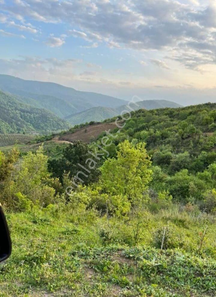 Turyap Körfez'den Çınarçık'ta Deniz Manzaralı Villa Arazisi - Görsel 19