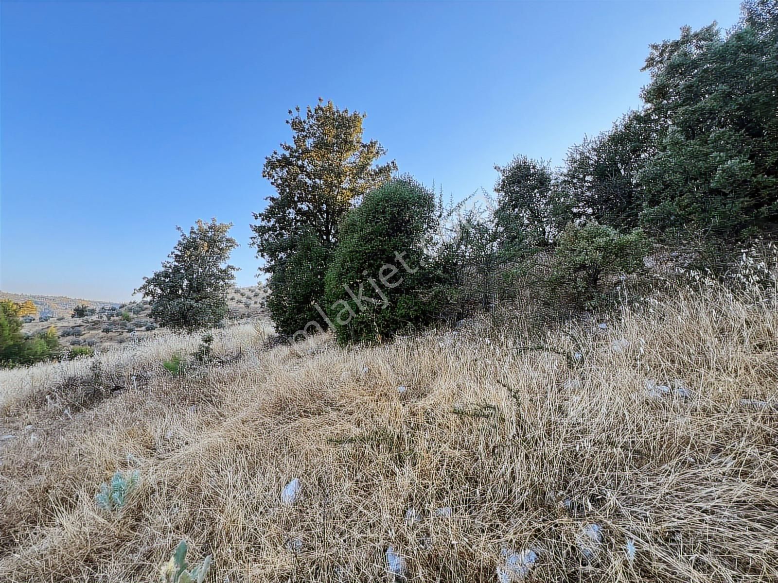 Muğla Yerkesik Yeniköy'de Satılık Tarla - Görsel 13