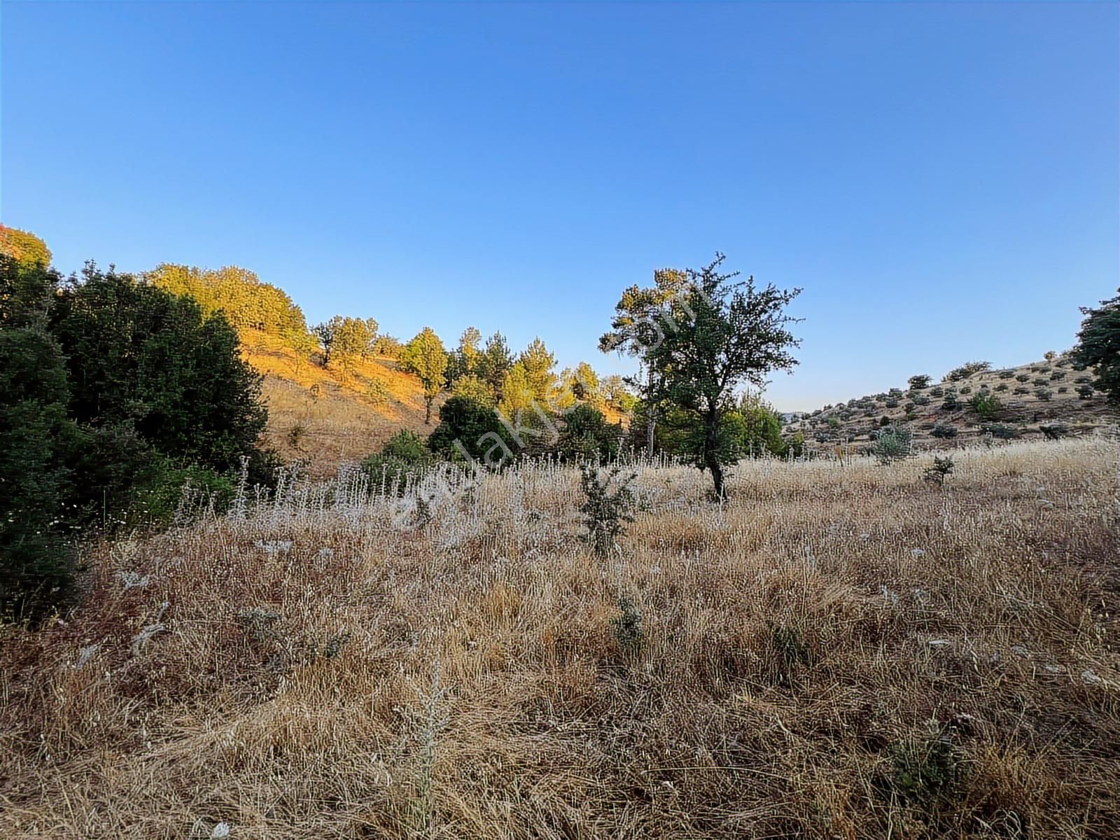 Muğla Yerkesik Yeniköy'de Satılık Tarla - Görsel 8