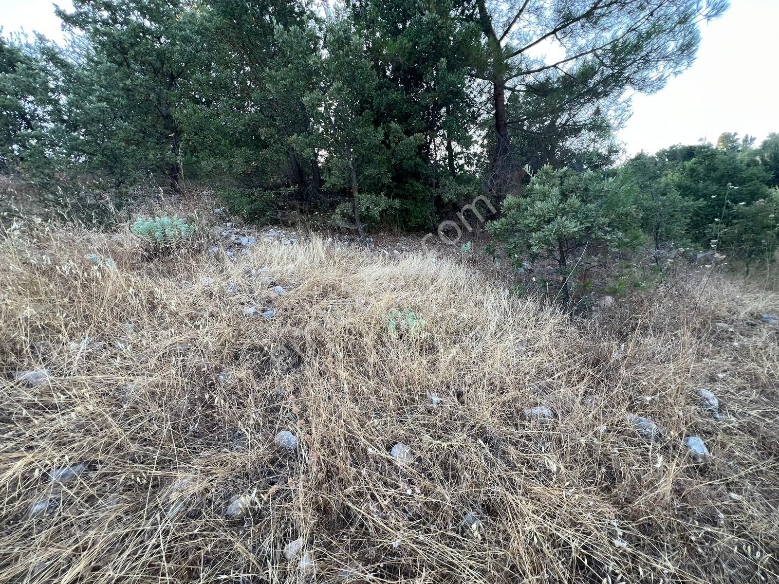 Muğla Yerkesik Yeniköy'de Satılık Tarla - Görsel 12