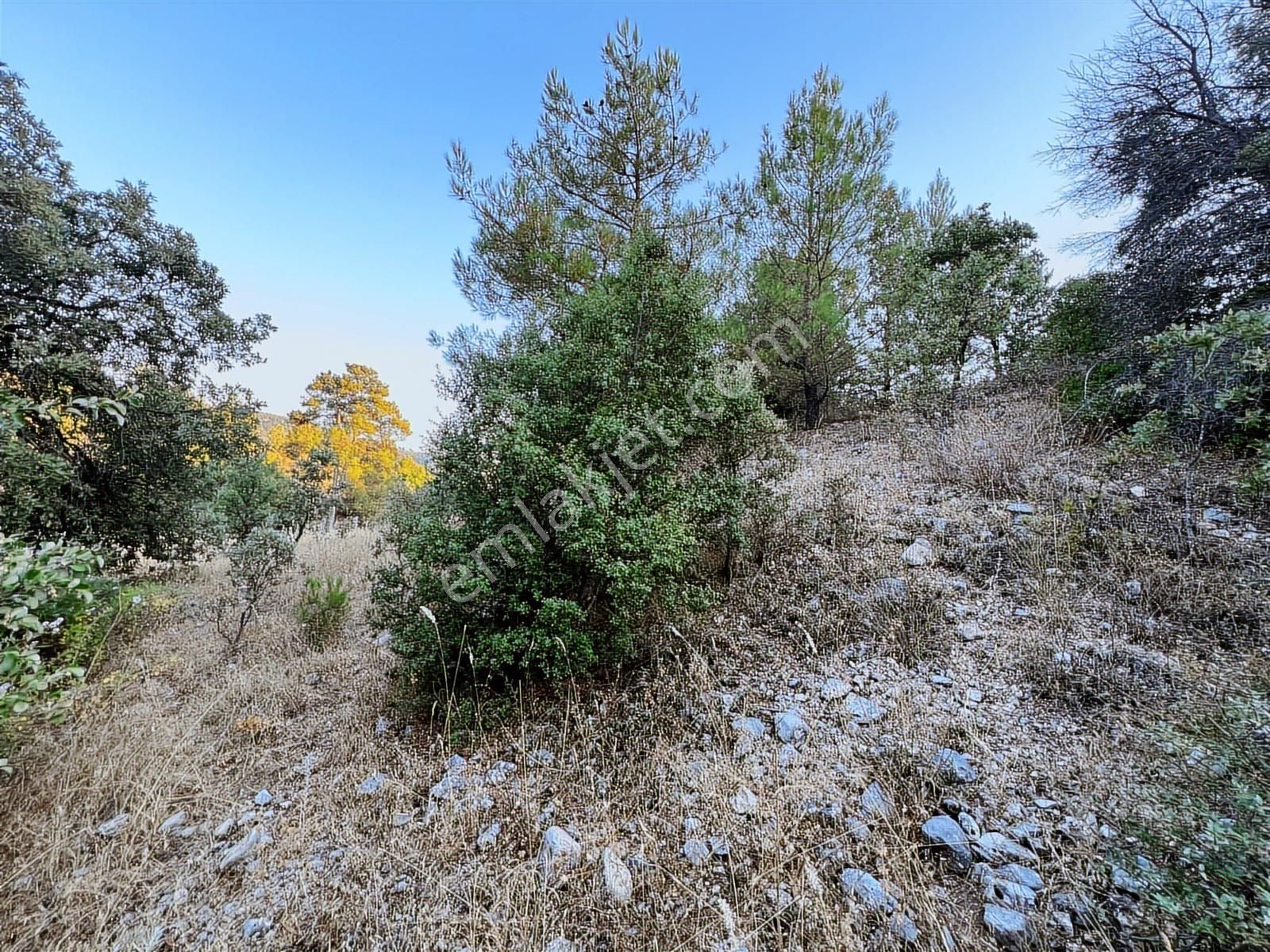Muğla Yerkesik Yeniköy'de Satılık Tarla - Görsel 14