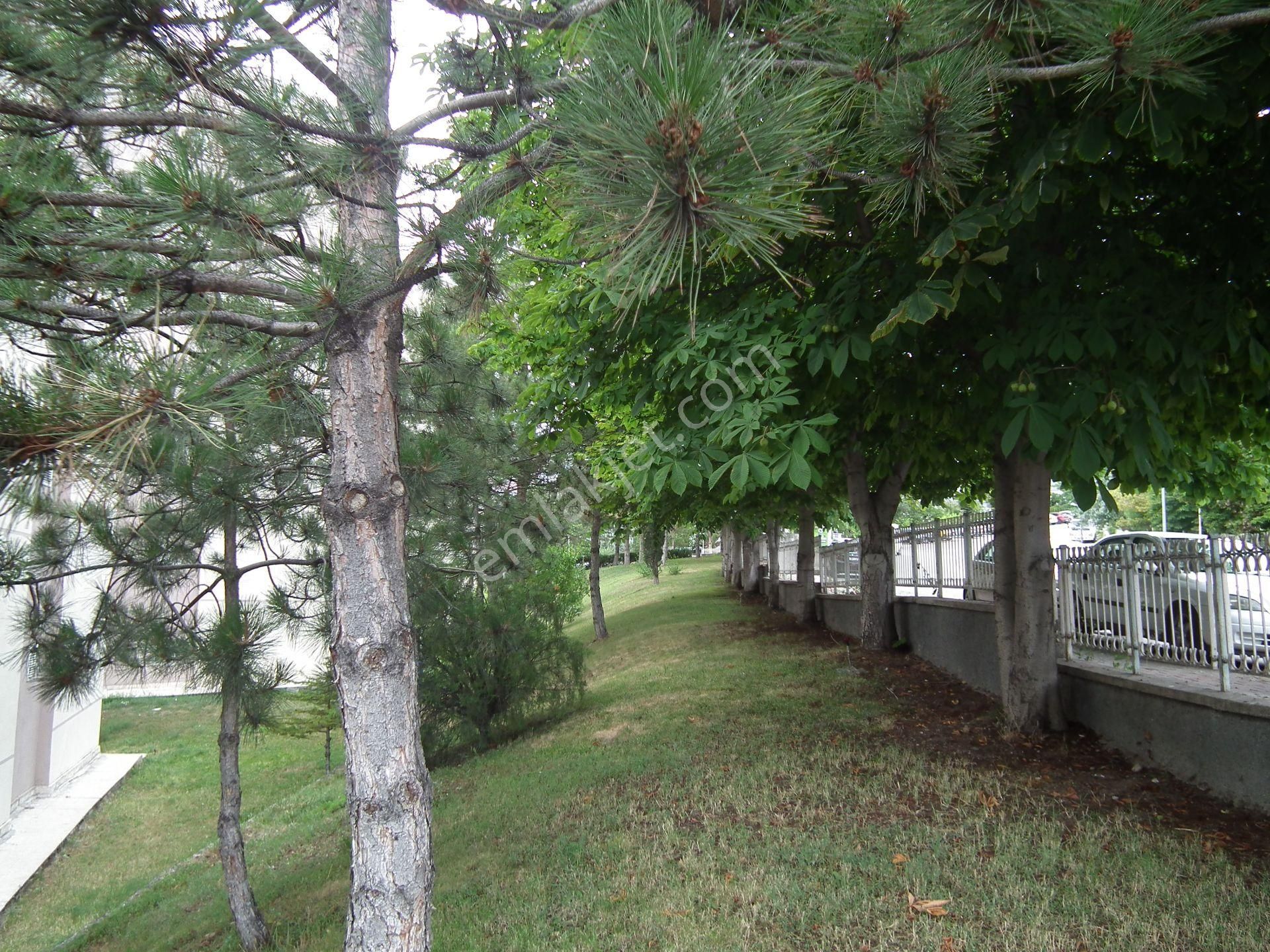 Kiralık 3+1 Daire- Metro Yanında- Güzel Lokasyonda - Görsel 2