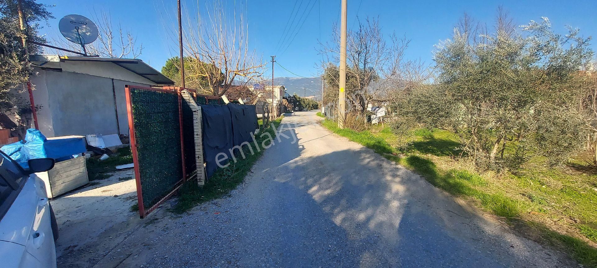 İzmir Kemalpaşa Mehmet Akif Ersoy Mahallesi, Merkeze Yakın Satılık Bahçe - Görsel 3