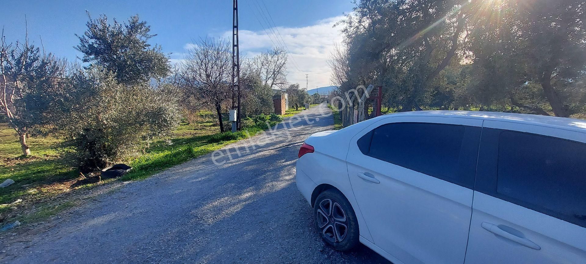 İzmir Kemalpaşa Mehmet Akif Ersoy Mahallesi, Merkeze Yakın Satılık Bahçe - Görsel 4