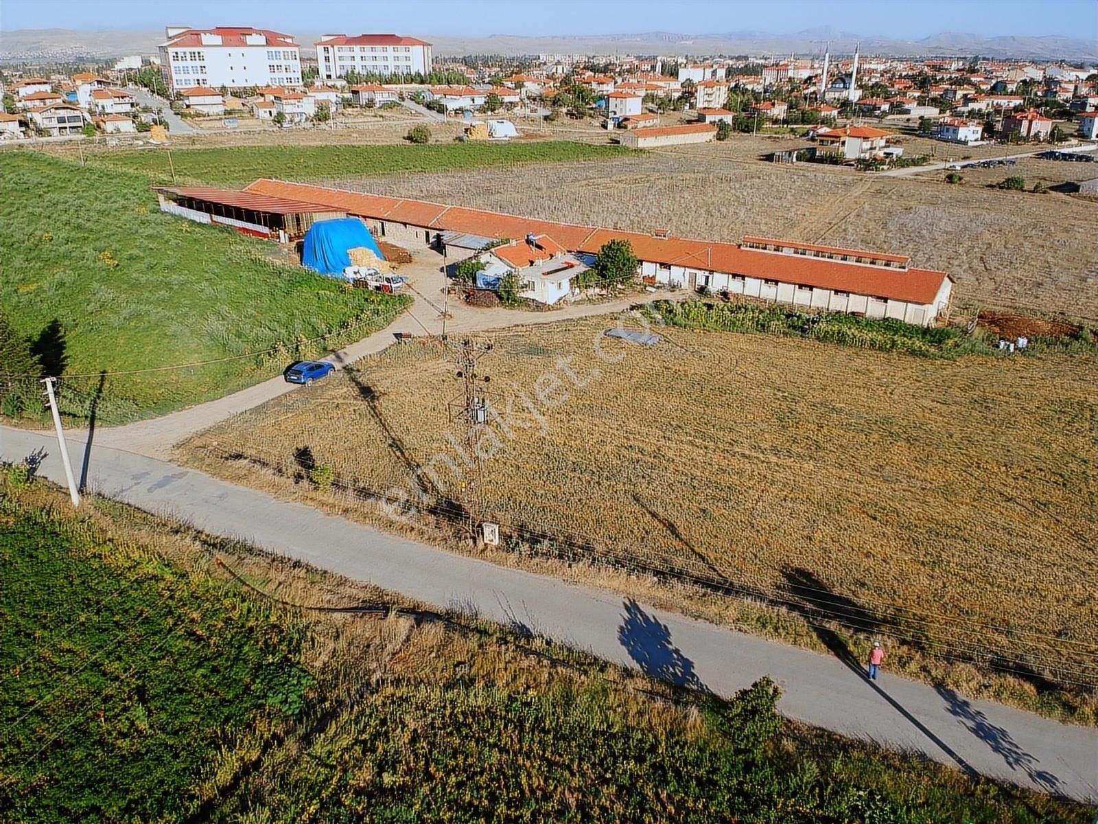 İlbey / Şuhut Merkez Taşlıca Mahallesinde Satılık Arsalar - Görsel 17