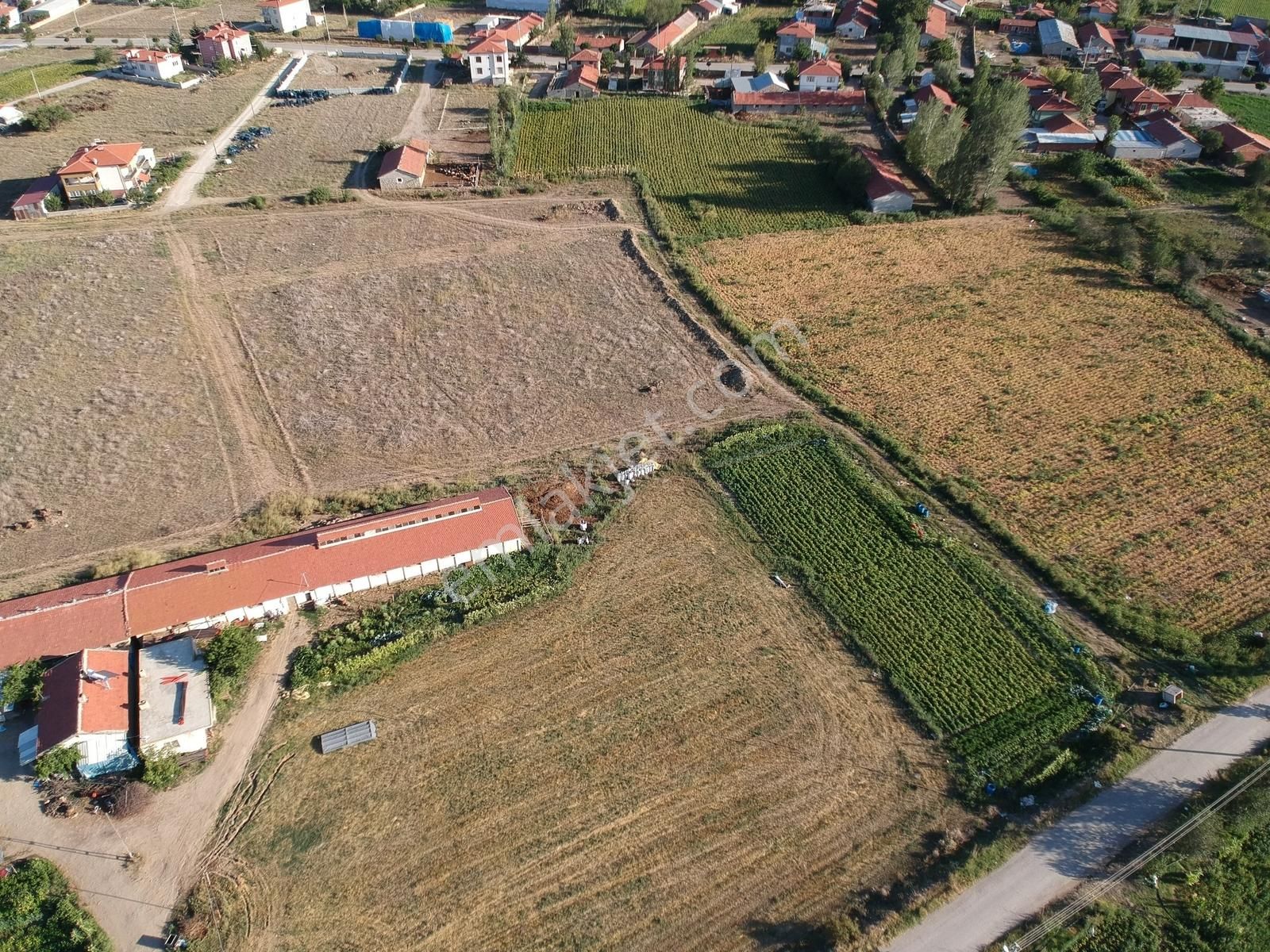 İlbey / Şuhut Merkez Taşlıca Mahallesinde Satılık Arsalar - Görsel 23