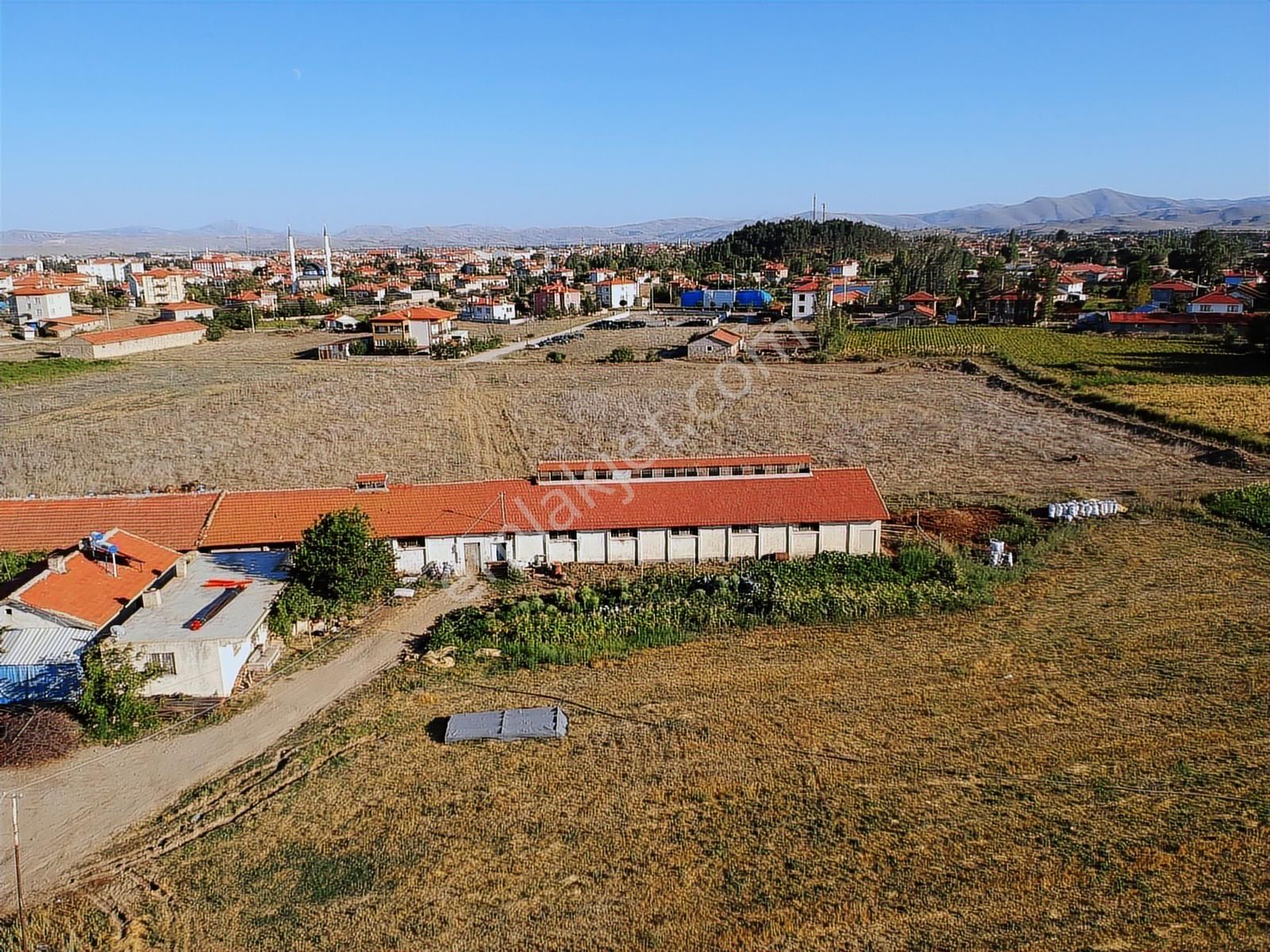 İlbey / Şuhut Merkez Taşlıca Mahallesinde Satılık Arsalar - Görsel 2