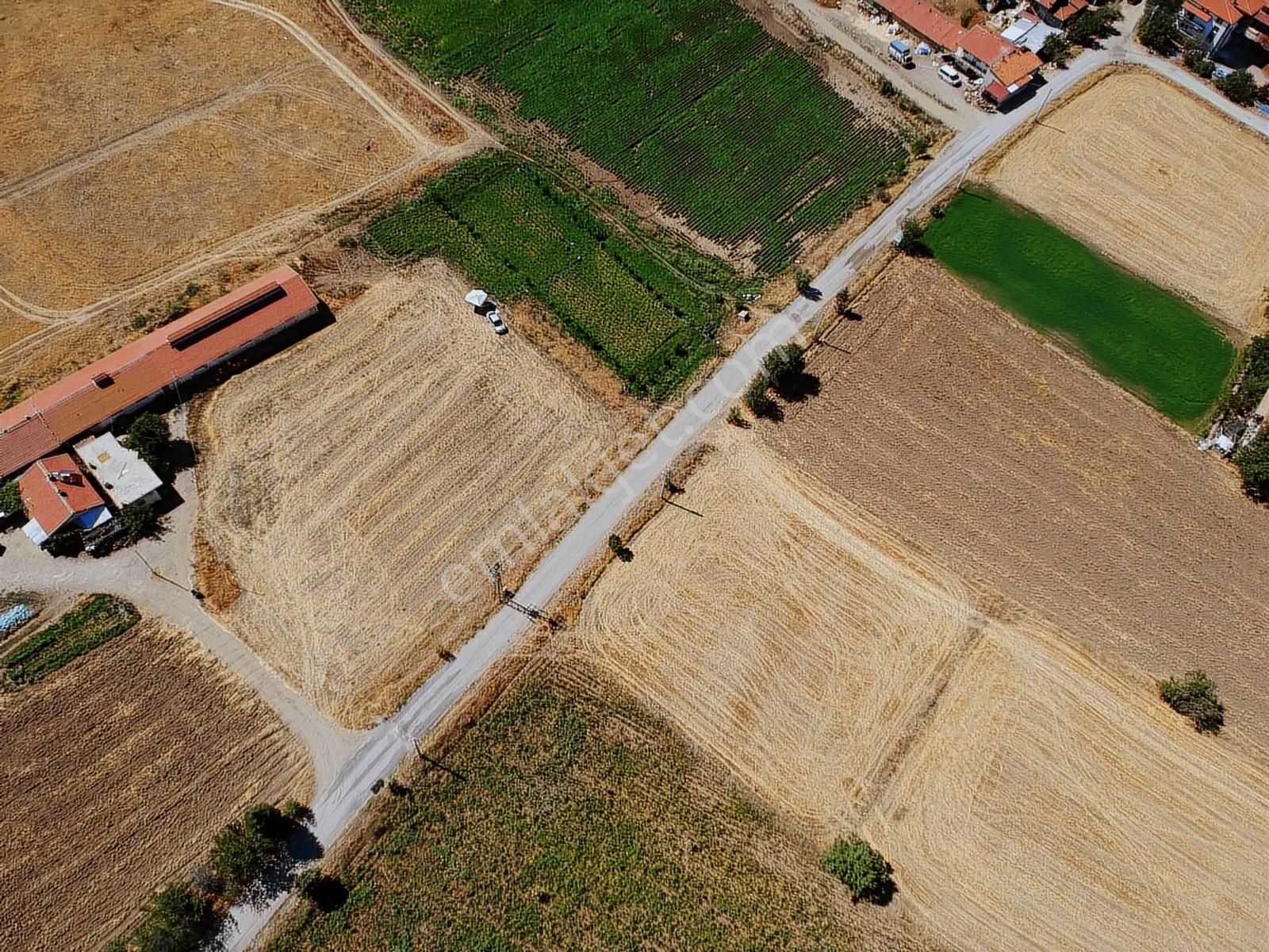 İlbey / Şuhut Merkez Taşlıca Mahallesinde Satılık Arsalar - Görsel 7