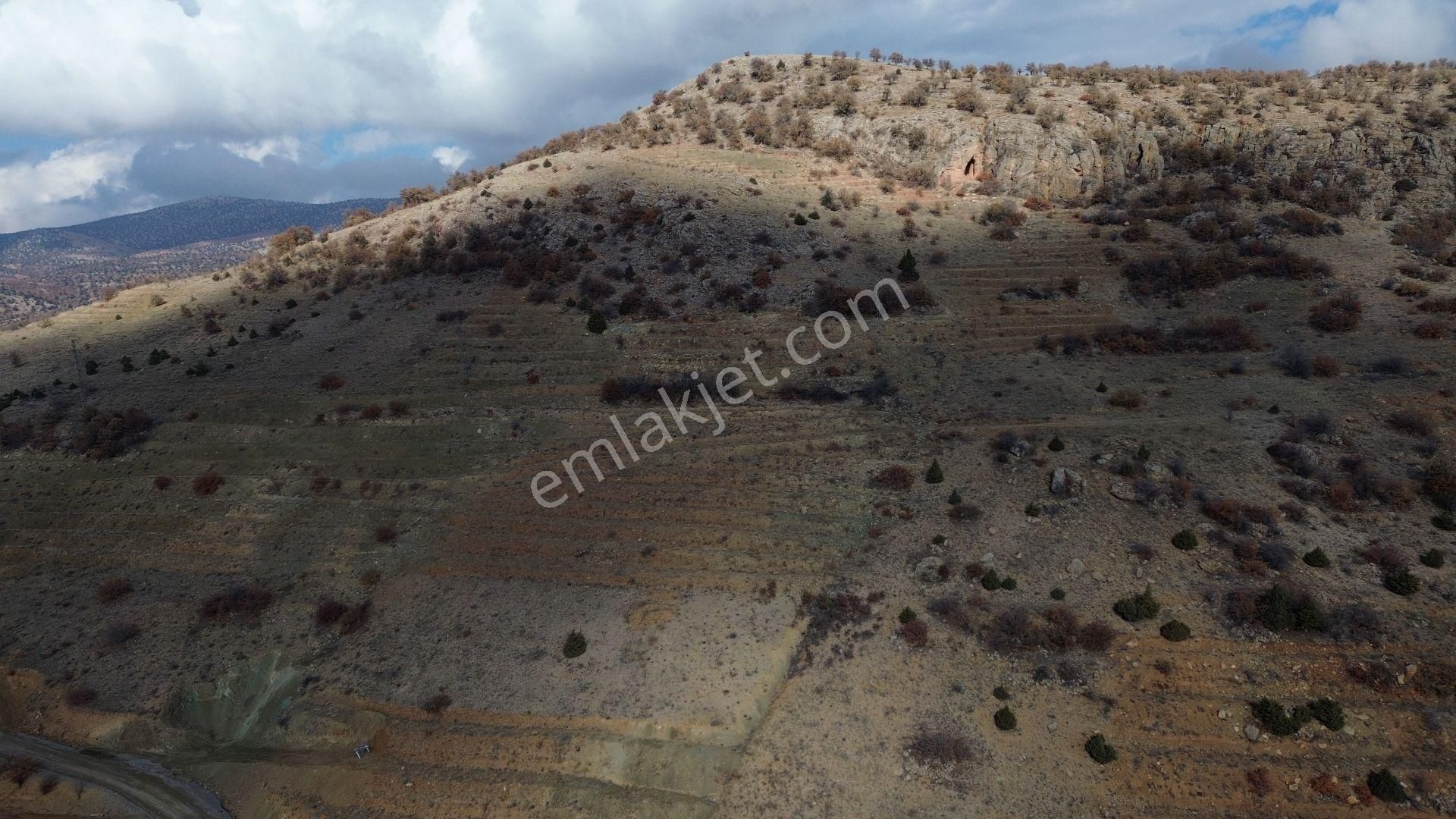 Konya / Hadim / Aşağıeşenler Mahallesinde 1.360 M² Müstakil Tapulu Bağ - Görsel 2
