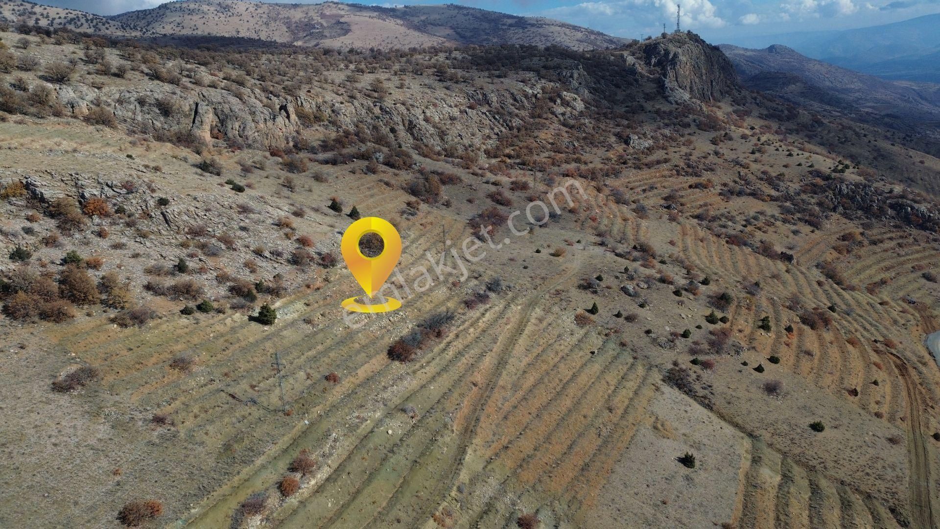 Konya / Hadim / Aşağıeşenler Mahallesinde 1.360 M² Müstakil Tapulu Bağ - Görsel 4
