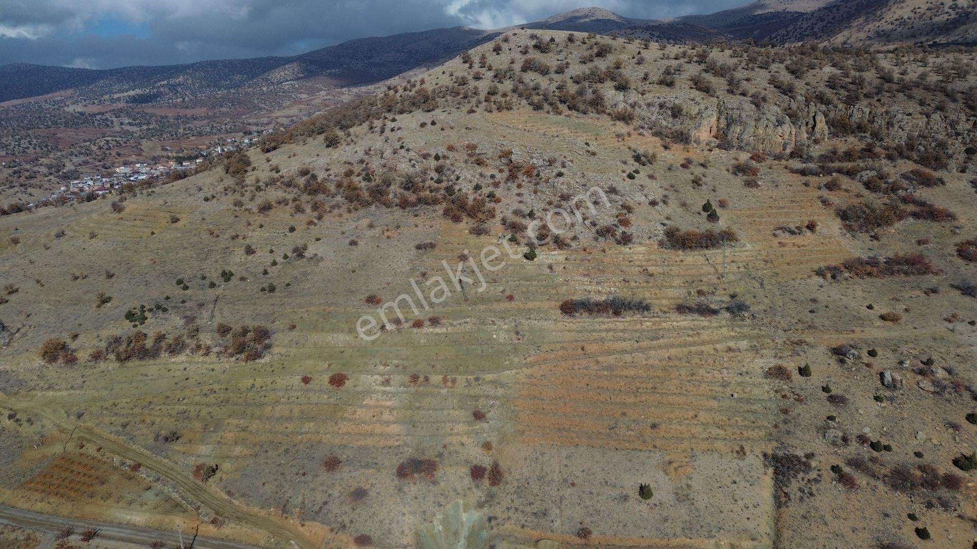 Konya / Hadim / Aşağıeşenler Mahallesinde 1.360 M² Müstakil Tapulu Bağ - Görsel 3