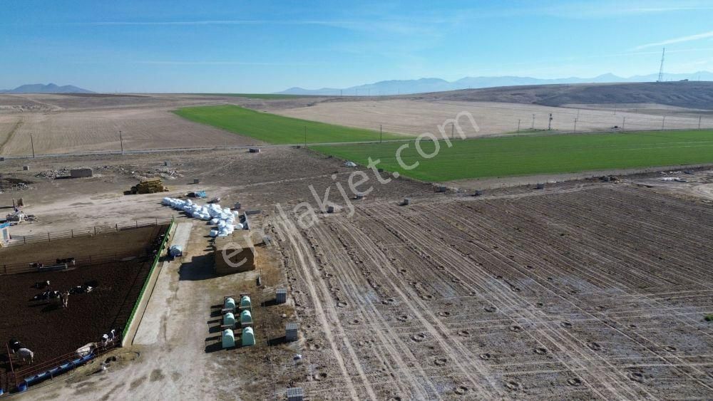 Konya / Emirgazi / Işıklar 563 M² Konut İmarlı Arsa - Görsel 4