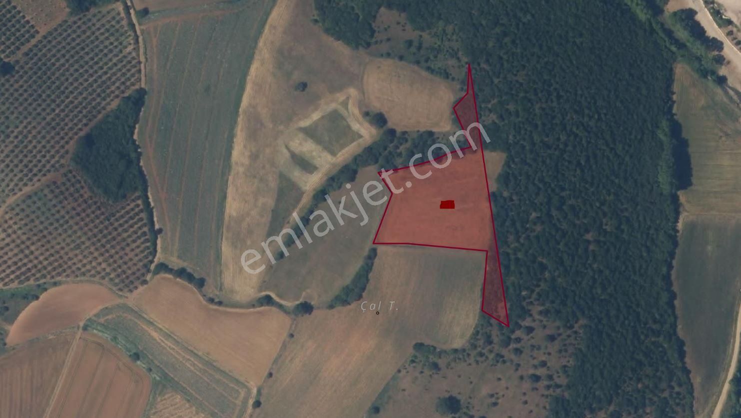 Karacabey Yeşildere'de 7.600 M2 Satılık Arazi - Görsel 4