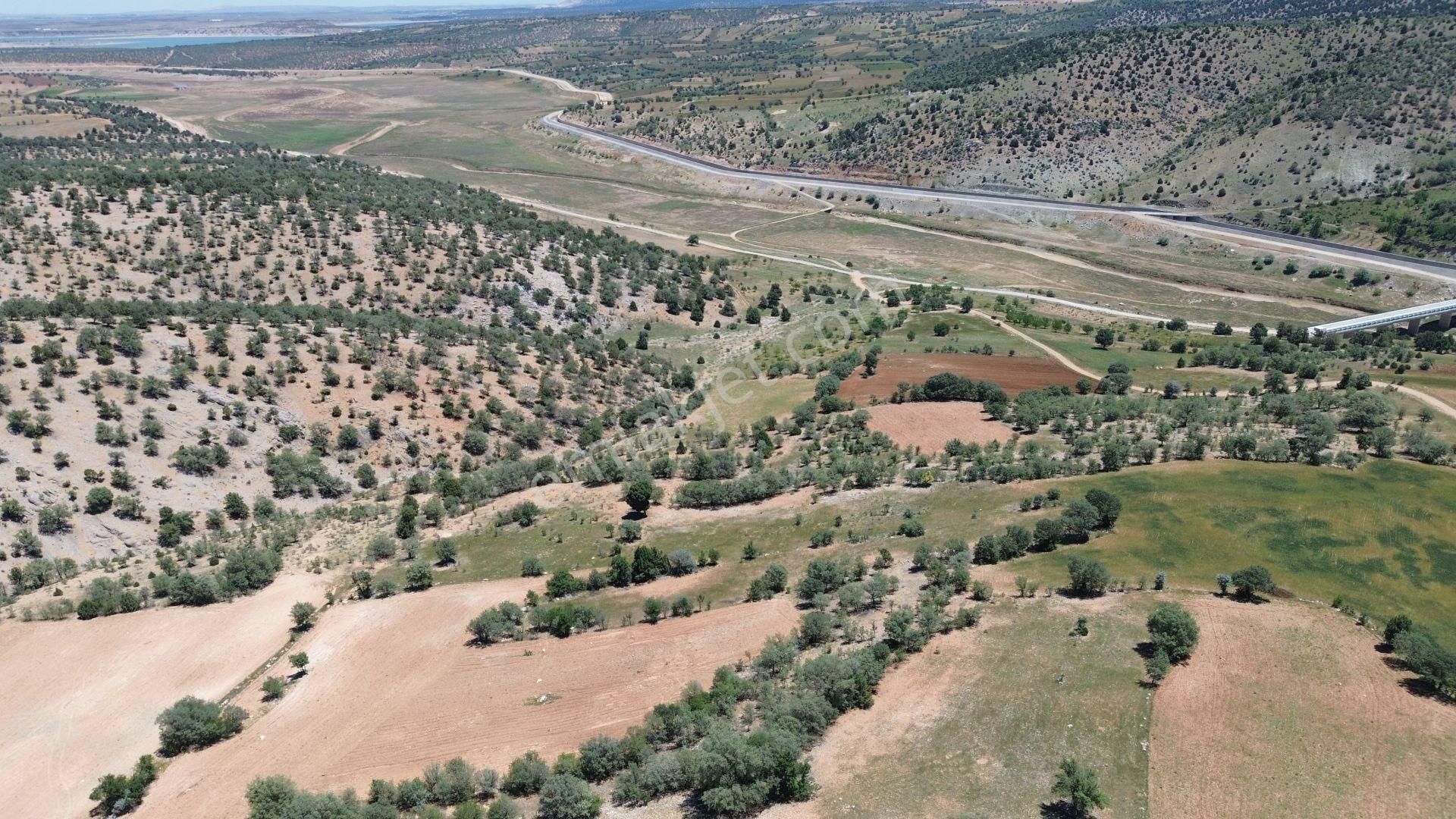 Konya / Akören / Belkuyu Mahallesinde 3.561 M² Müstakil Tapulu Tarla - Görsel 5