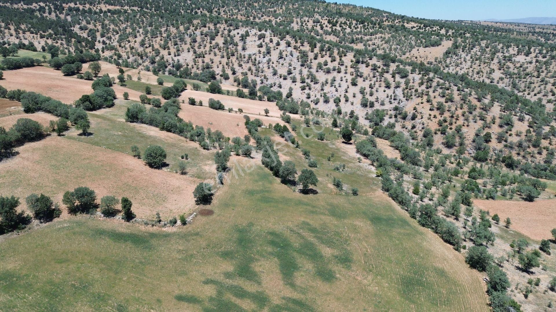 Konya / Akören / Belkuyu Mahallesinde 3.561 M² Müstakil Tapulu Tarla - Görsel 4