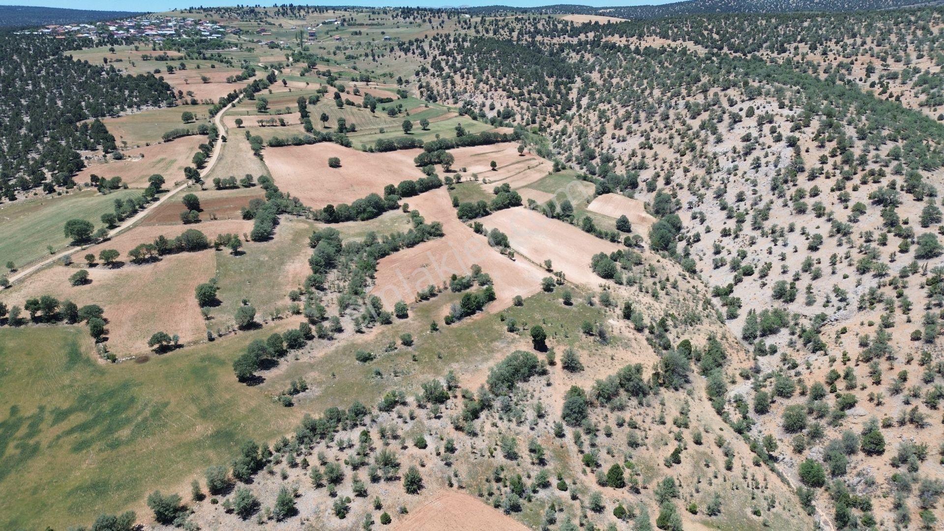 Konya / Akören / Belkuyu Mahallesinde 3.561 M² Müstakil Tapulu Tarla - Görsel 3