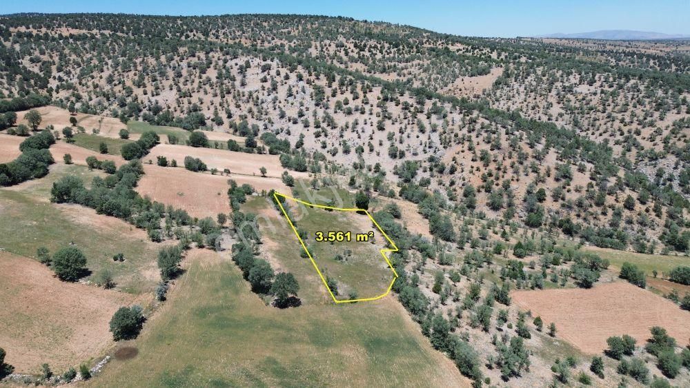 Konya / Akören / Belkuyu Mahallesinde 3.561 M² Müstakil Tapulu Tarla - Görsel 6