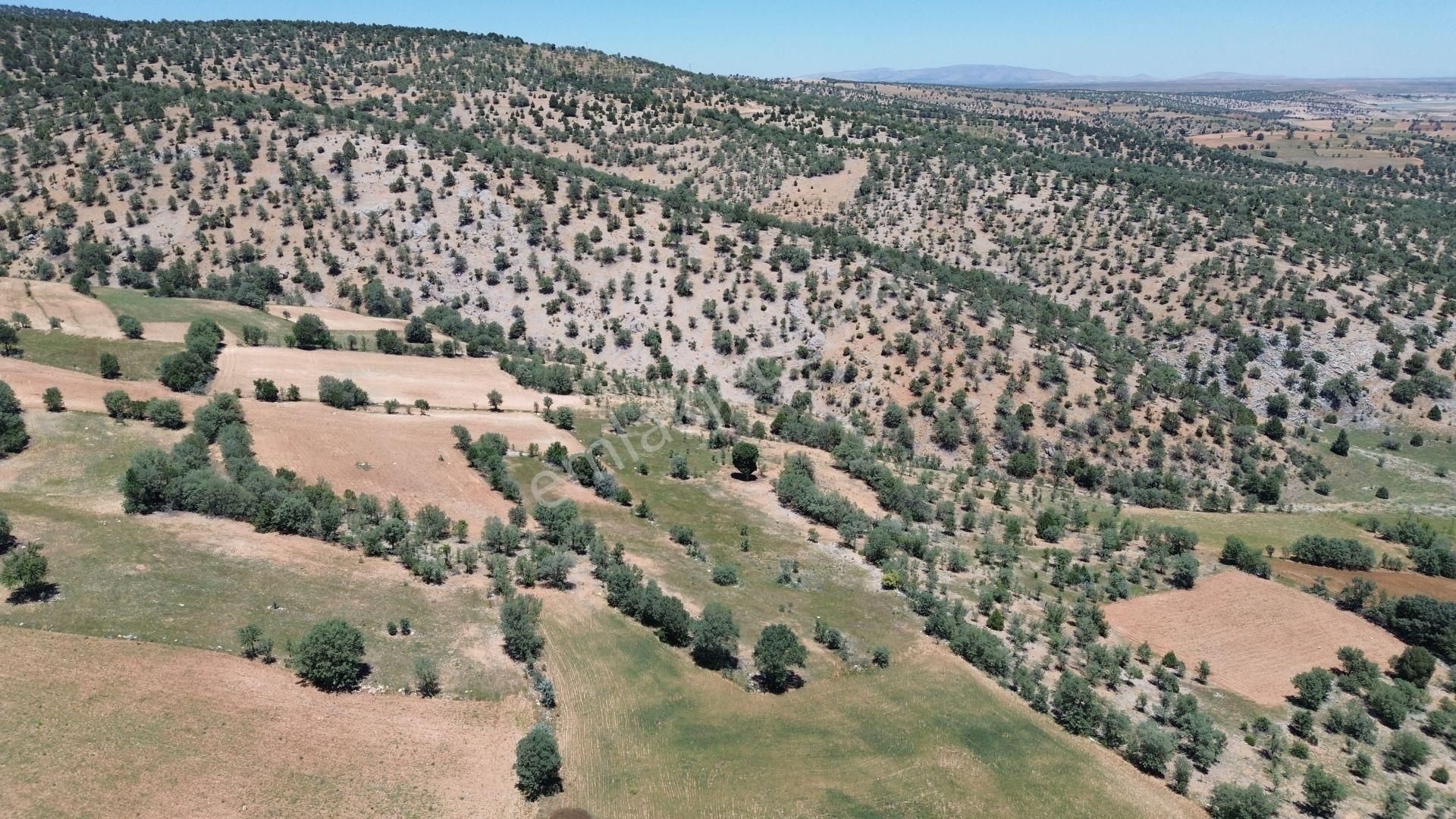 Konya / Akören / Belkuyu Mahallesinde 3.561 M² Müstakil Tapulu Tarla - Görsel 9