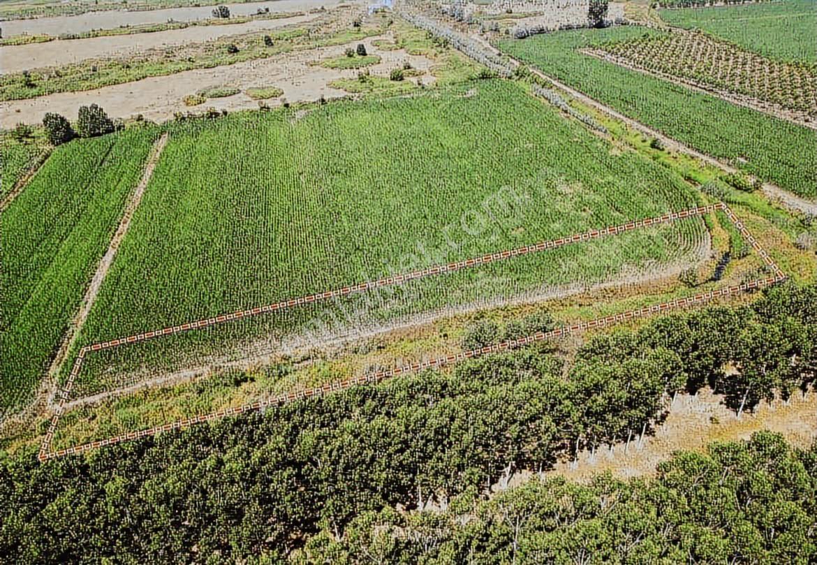 Yaz Fırsatı Sakarya Hendek Sarıyer Mahallesın'de 1300m2 Tarla - Görsel 8
