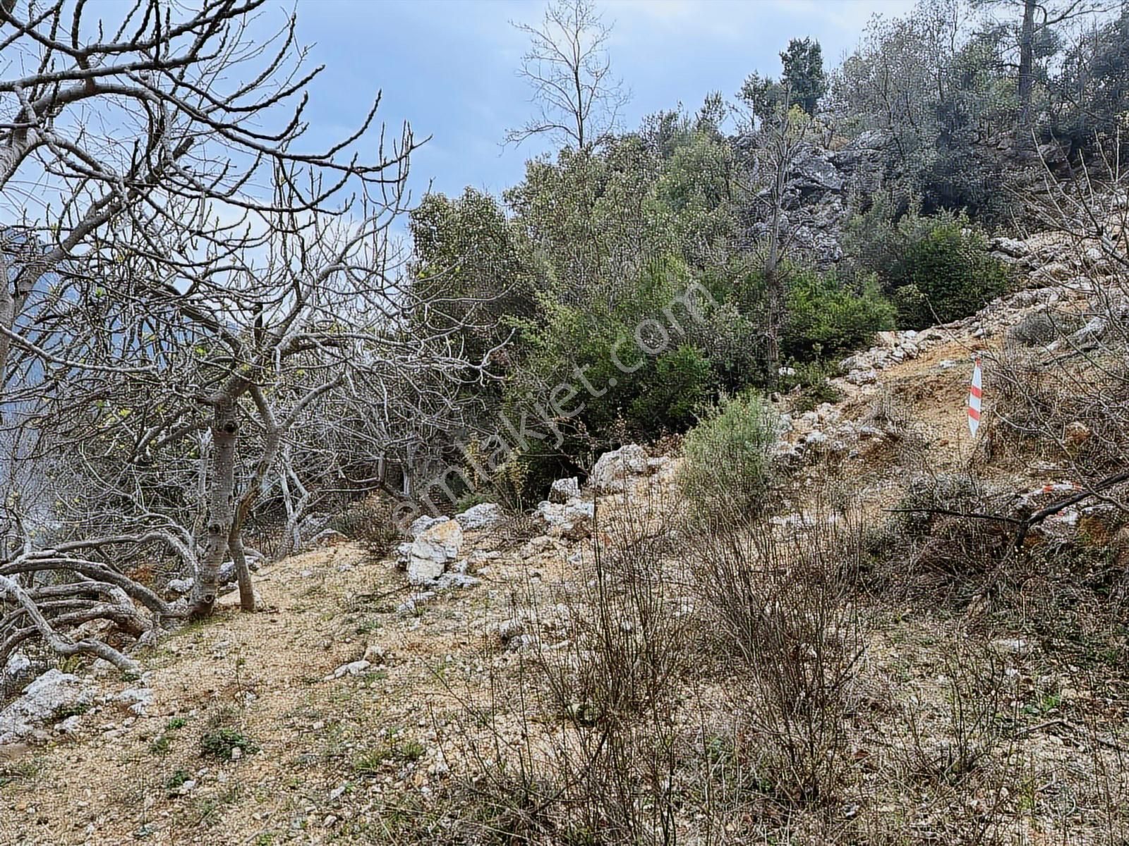 Yolu Var Full Doğa Orman Köy Manzaralı Yola Yakın Fırsat Tarla - Görsel 20