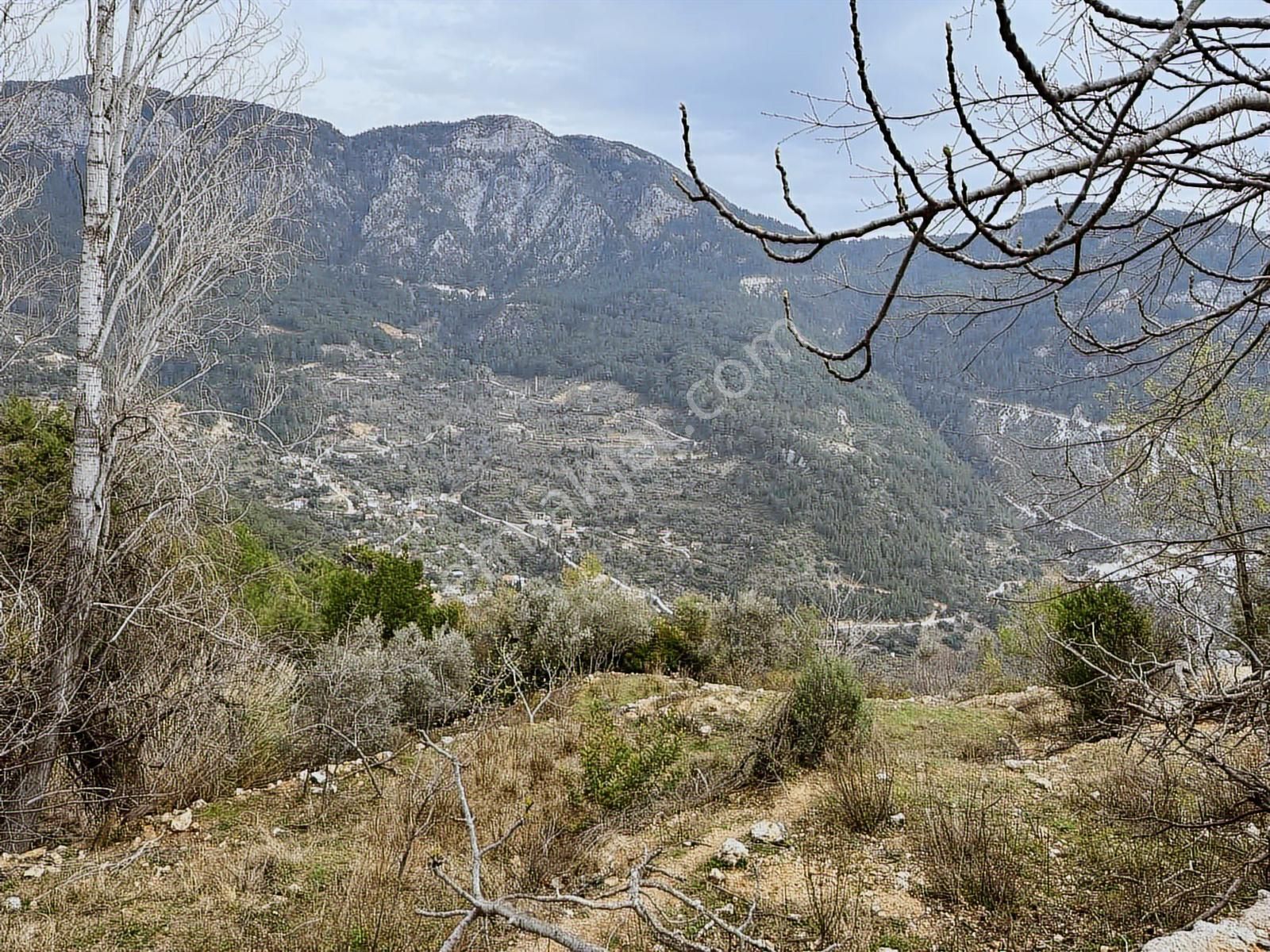 Yolu Var Full Doğa Orman Köy Manzaralı Yola Yakın Fırsat Tarla - Görsel 12