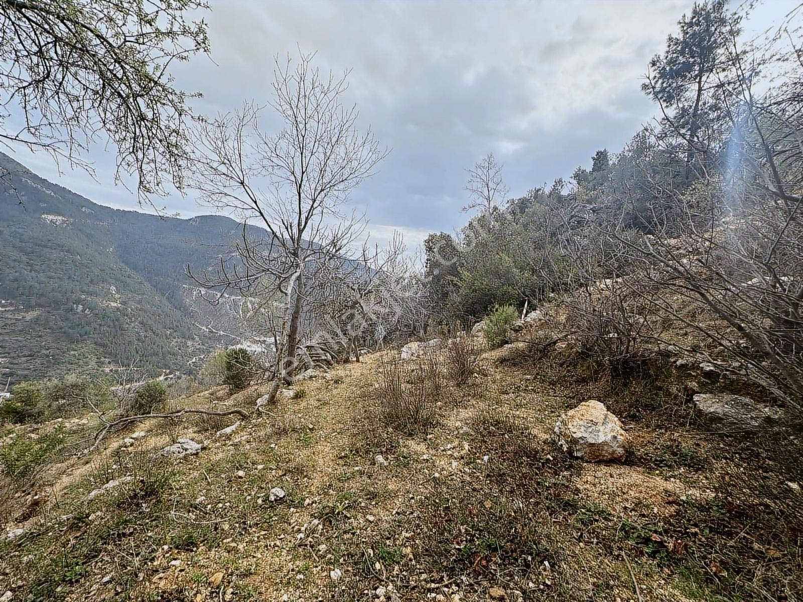 Yolu Var Full Doğa Orman Köy Manzaralı Yola Yakın Fırsat Tarla - Görsel 11