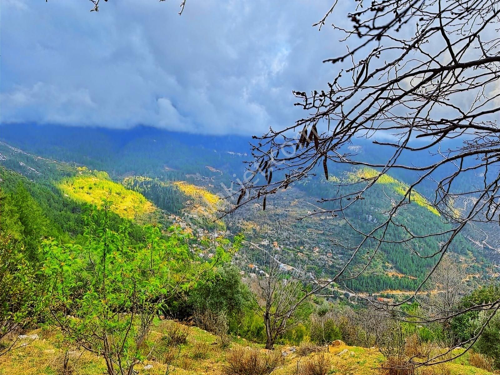 Yolu Var Full Doğa Orman Köy Manzaralı Yola Yakın Fırsat Tarla