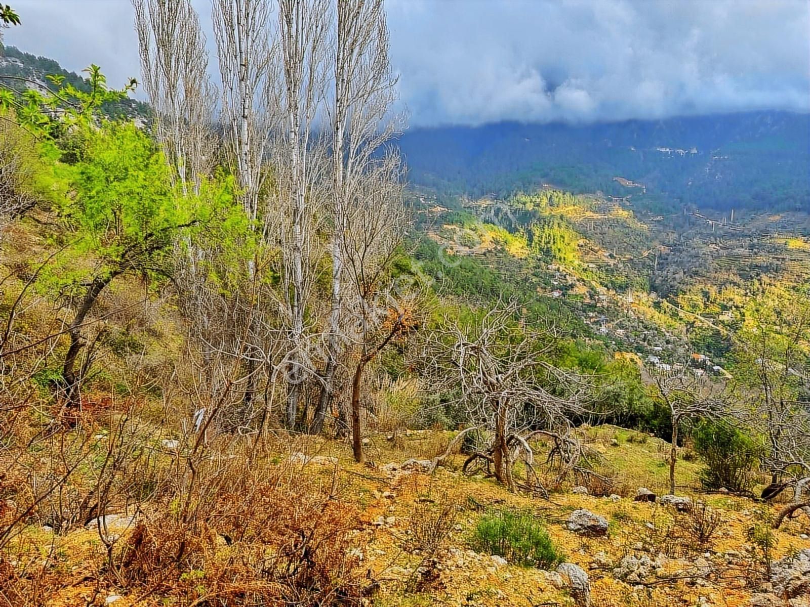 Yolu Var Full Doğa Orman Köy Manzaralı Yola Yakın Fırsat Tarla - Görsel 17