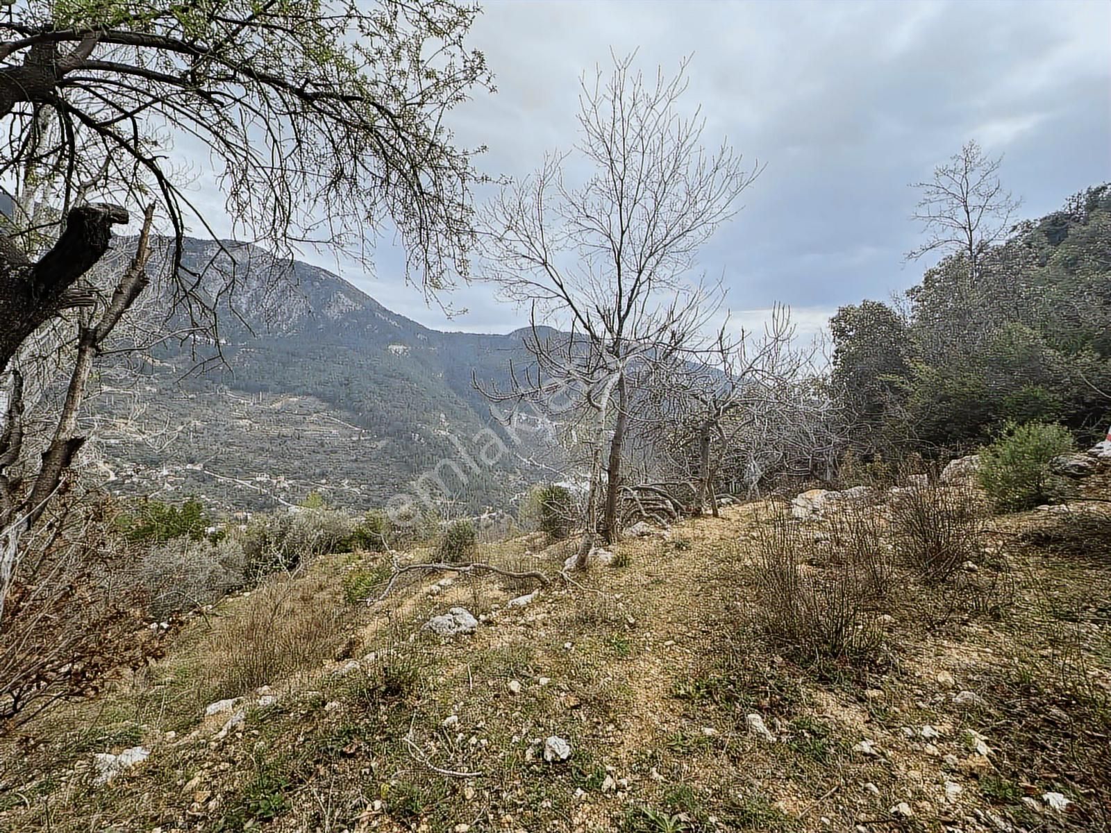 Yolu Var Full Doğa Orman Köy Manzaralı Yola Yakın Fırsat Tarla - Görsel 13