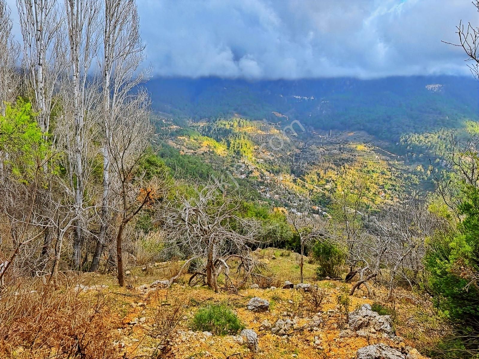 Yolu Var Full Doğa Orman Köy Manzaralı Yola Yakın Fırsat Tarla - Görsel 15