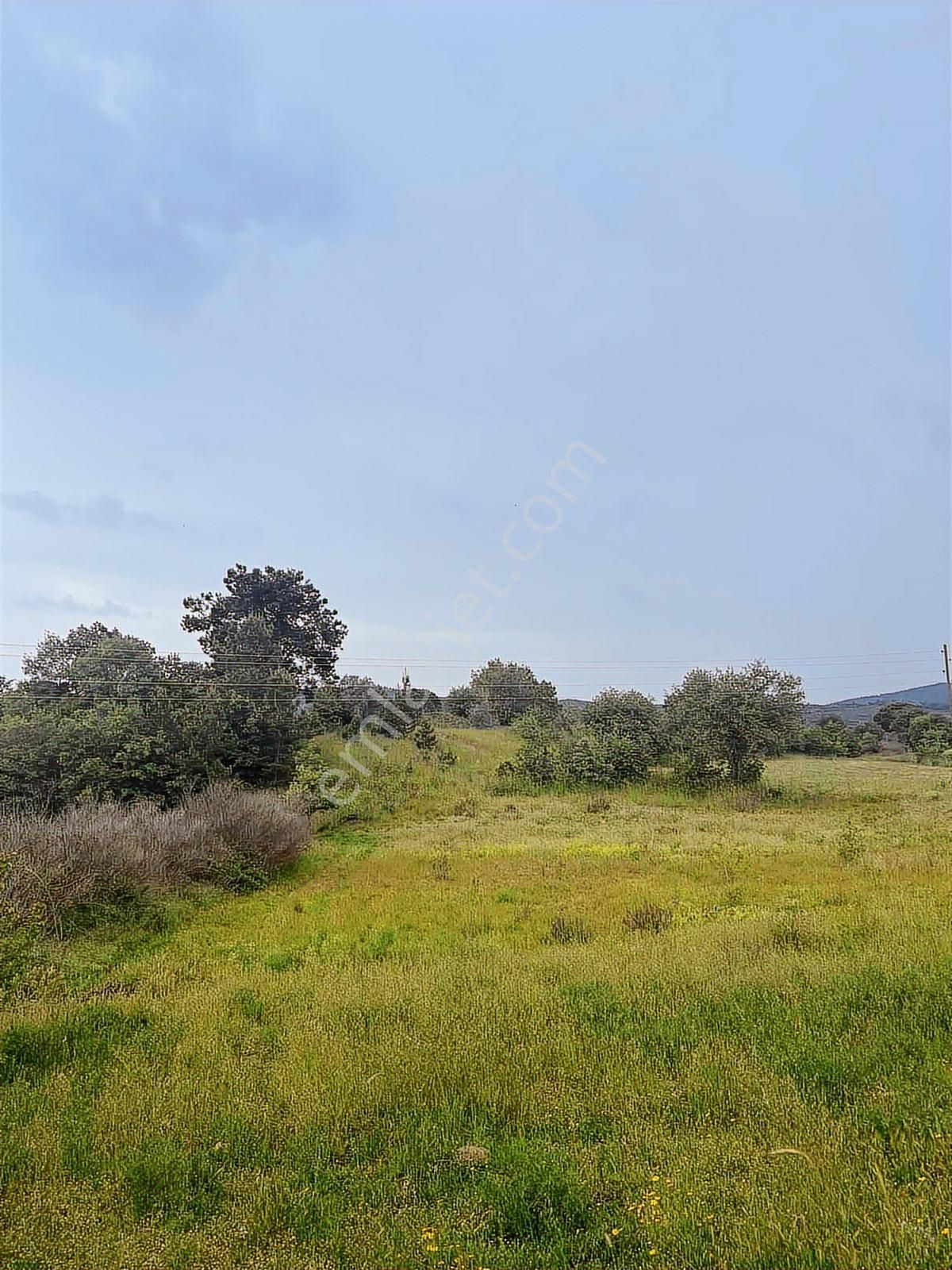 Milas Kuzuyaka Köyünde Satılık Yatırımlık Tarla