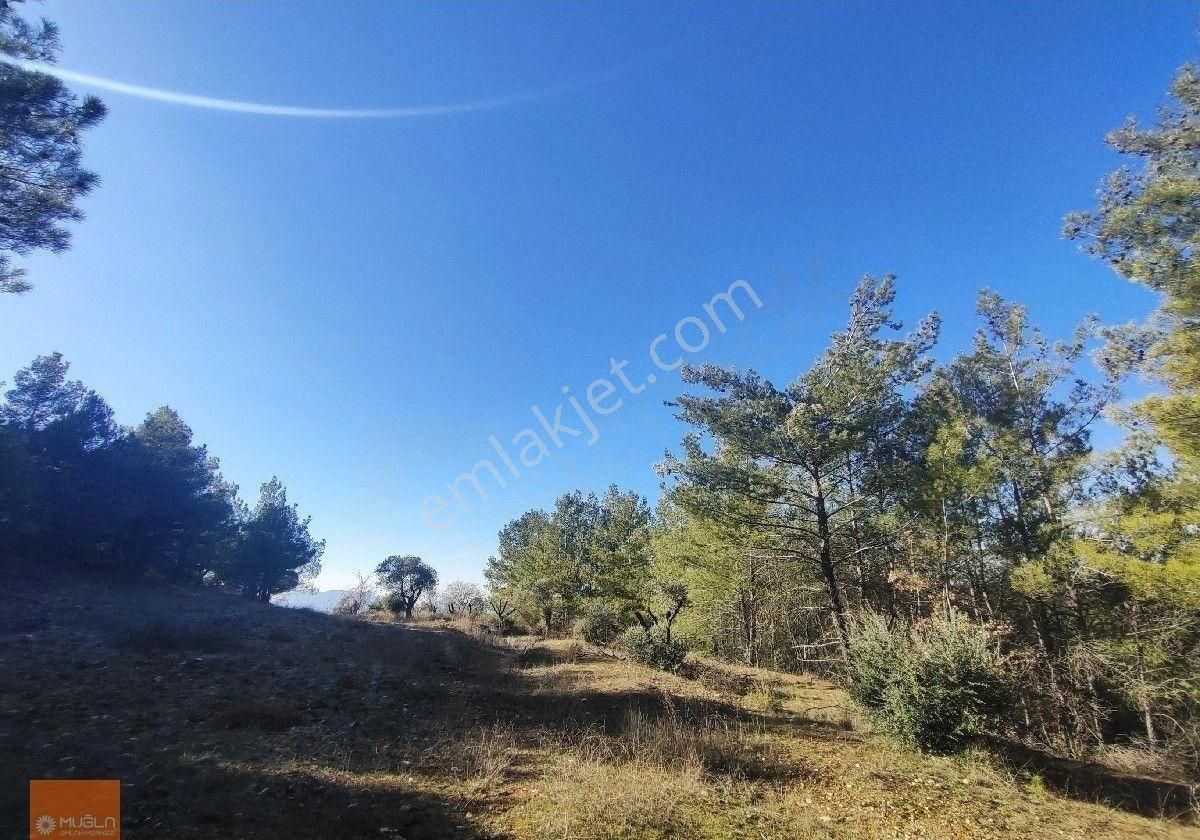 Muğla Menteşe Bayır Katrancı Mevkiindebayır Gölü Manzaralı 11.139 M² Tek Tapu Tarım Arazisi - Görsel 6