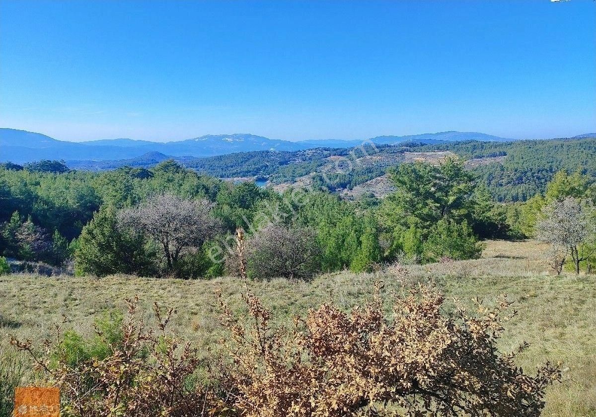 Muğla Menteşe Bayır Katrancı Mevkiindebayır Gölü Manzaralı 11.139 M² Tek Tapu Tarım Arazisi - Görsel 2
