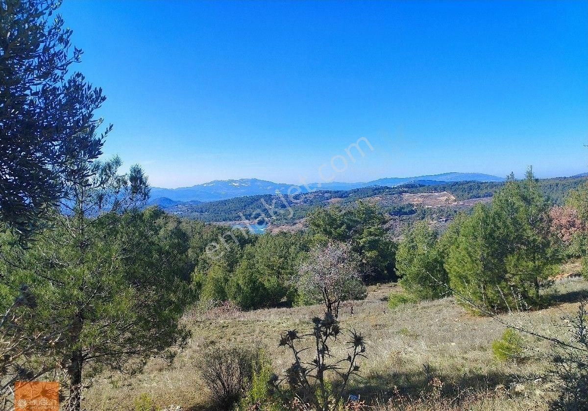 Muğla Menteşe Bayır Katrancı Mevkiindebayır Gölü Manzaralı 11.139 M² Tek Tapu Tarım Arazisi - Görsel 4