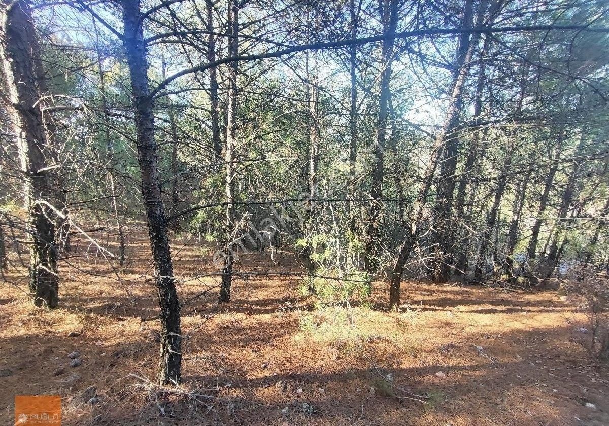 Muğla Menteşe Bayır Katrancı Mevkiindebayır Gölü Manzaralı 11.139 M² Tek Tapu Tarım Arazisi - Görsel 3
