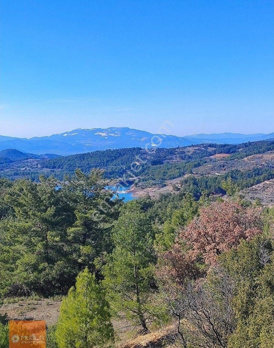 Muğla Menteşe Bayır’da 4.865 M² Doğayla İç İçe – Tıny House Uygun Satılık Arazi - Görsel 7