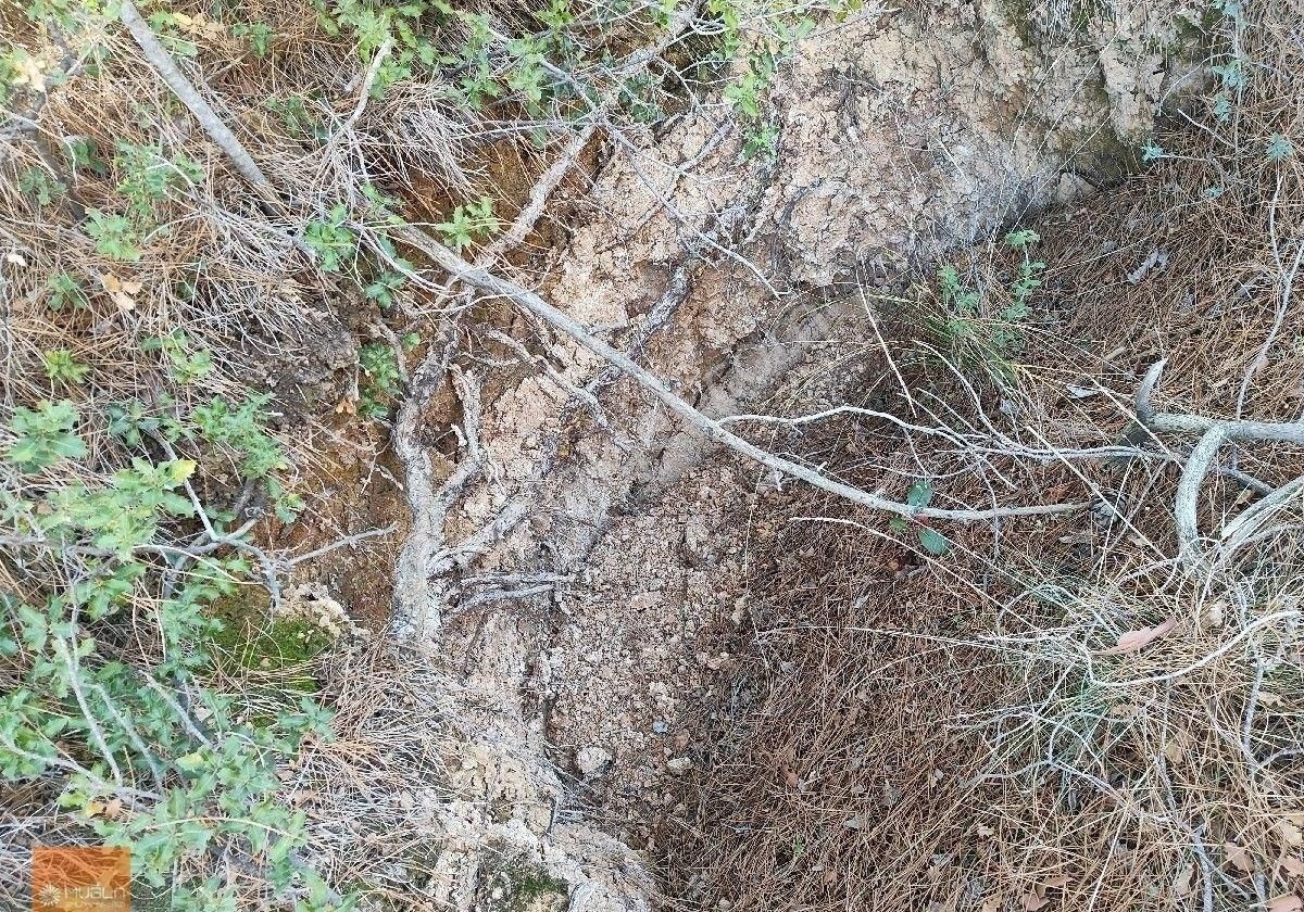 Muğla Menteşe Bayır’da 4.865 M² Doğayla İç İçe – Tıny House Uygun Satılık Arazi - Görsel 5
