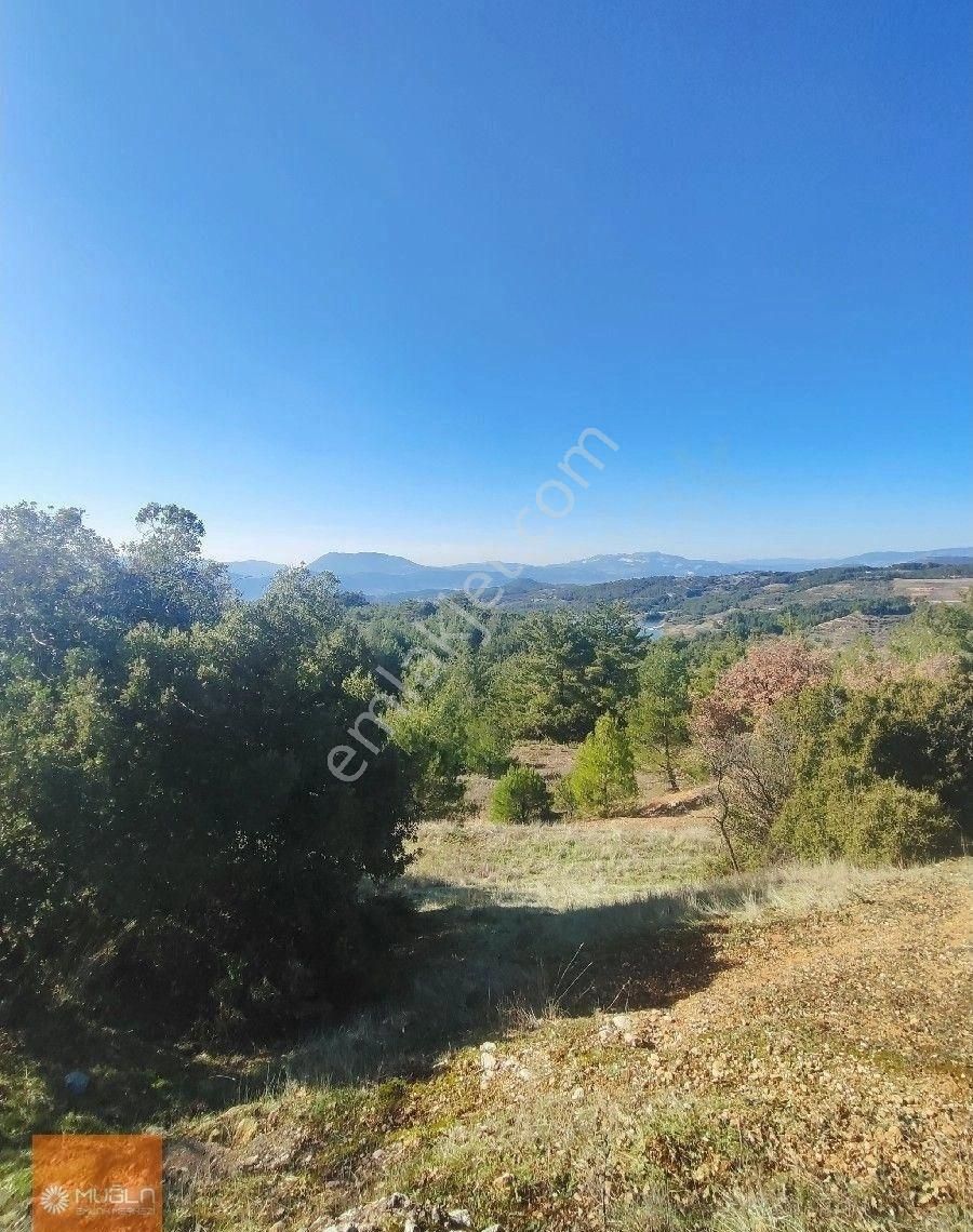 Muğla Menteşe Bayır’da 4.865 M² Doğayla İç İçe – Tıny House Uygun Satılık Arazi - Görsel 13