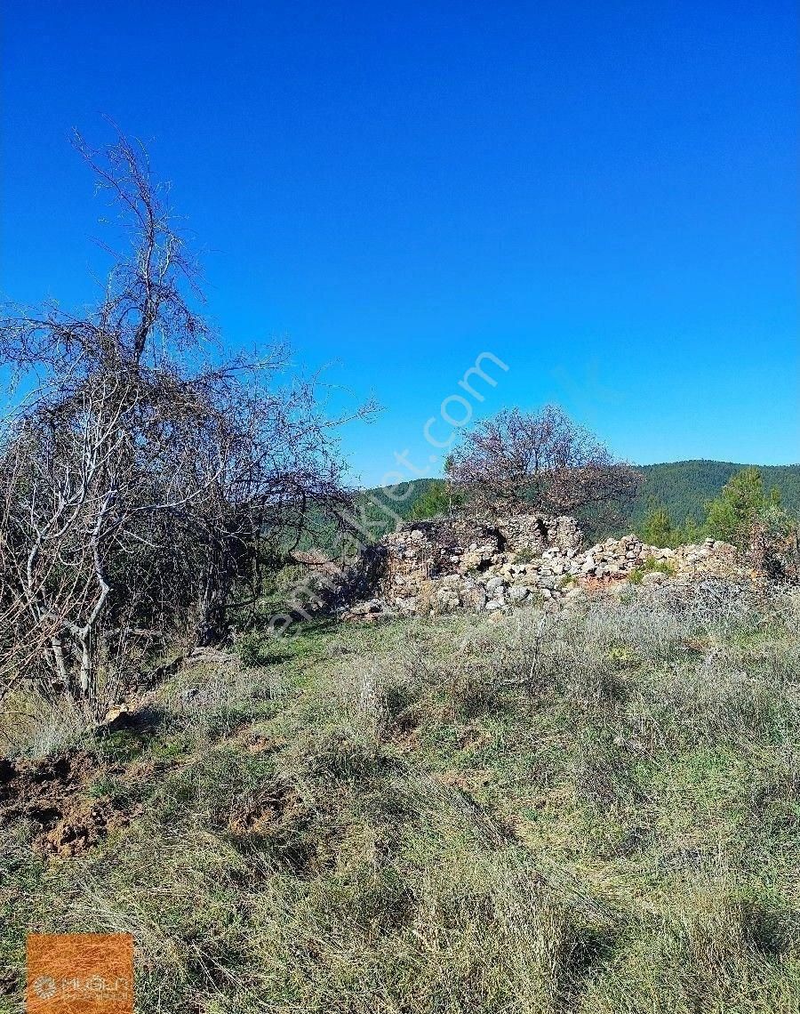 Muğla Menteşe Bayır’da 4.865 M² Doğayla İç İçe – Tıny House Uygun Satılık Arazi - Görsel 3