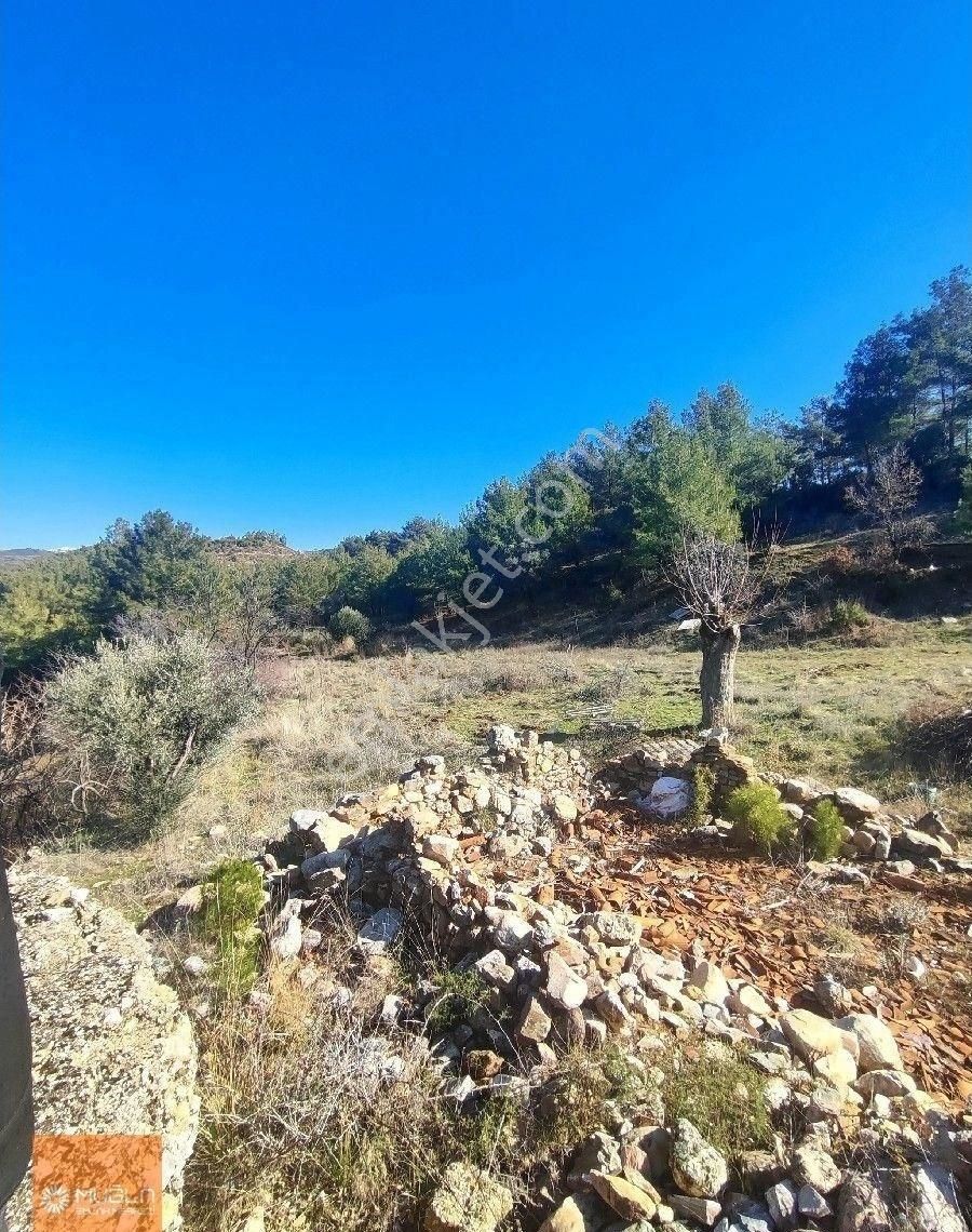 Muğla Menteşe Bayır’da 4.865 M² Doğayla İç İçe – Tıny House Uygun Satılık Arazi - Görsel 12