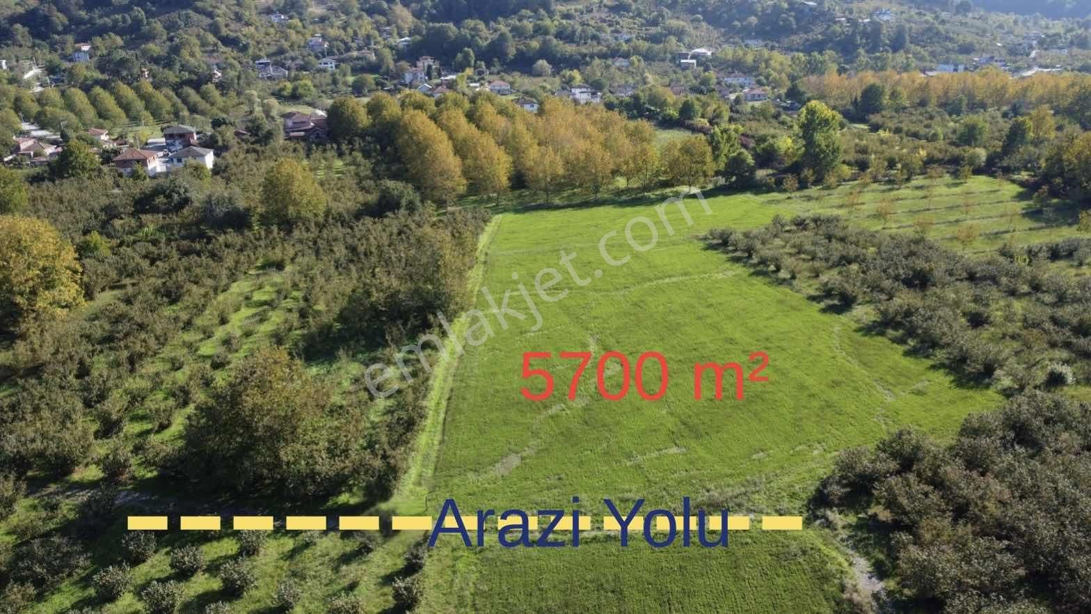 Arifiye Kemaliye'de 5700 M² Satılık Tarla - Görsel 5