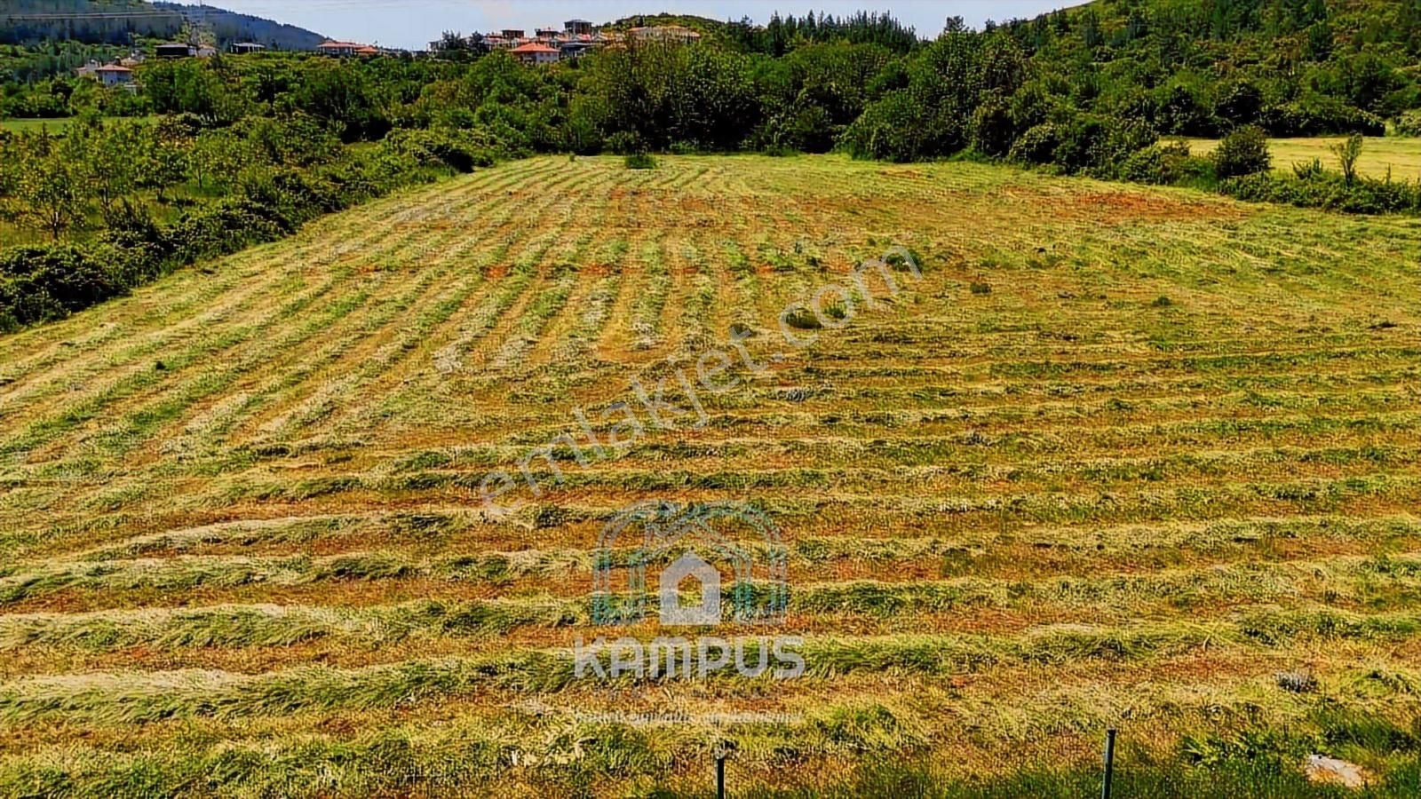 Fiyatı Düştü! Muğla Gülağzı'nda Yatırımlık Tarla - Görsel 2