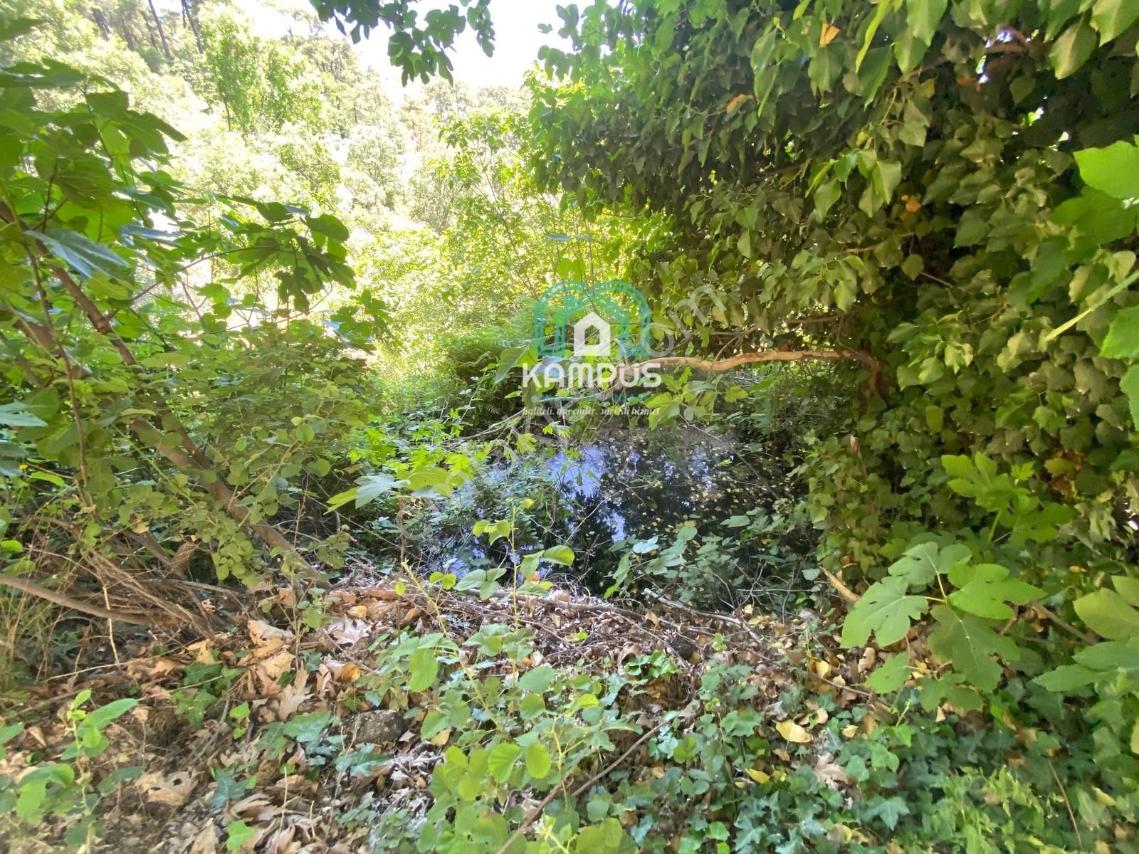 Muğla Çatakbağyaka'da Satılık Tarla - Görsel 2